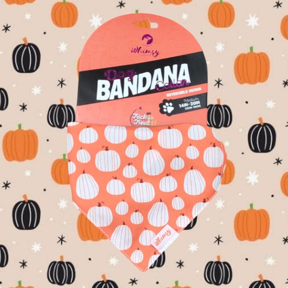 Whimsy Dog "Trick or Treat" Bandana with Pumpkin Theme Collar